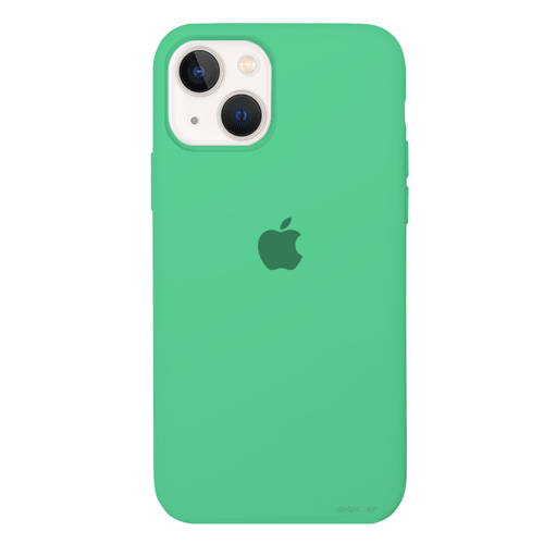 VERDE CLARO |IPHONE 15 PLUS|