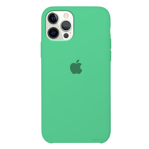 VERDE CLARO |IPHONE 11 PRO|